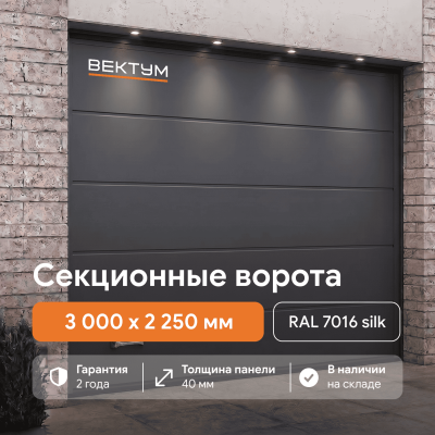 Секционные гаражные ворота ВЕКТУМ RAL 7016 Silk (Проем 3000х2250 мм Серый шелк)