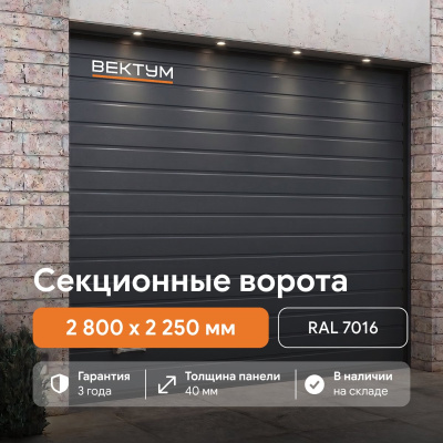 Секционные гаражные ворота ВЕКТУМ RAL 7016 (Проем 2800х2250 мм Антрацит)
