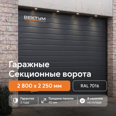 Секционные гаражные ворота ВЕКТУМ RAL 7016 (Проем 2800х2250 мм Антрацит)